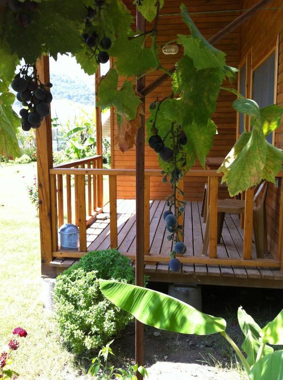 Estelar Bungalow Cirali Ruang foto